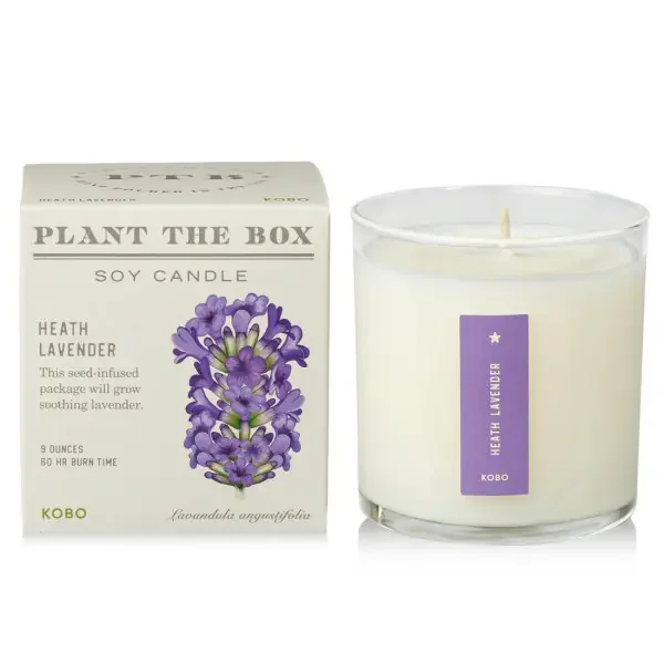 9OZ CANDLE PLANT HEATH LAVENDER
