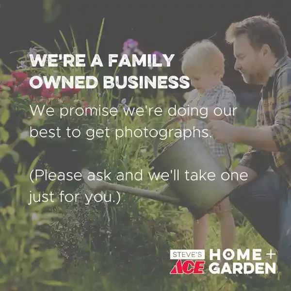 A 4.25″ Proven Winner Asst