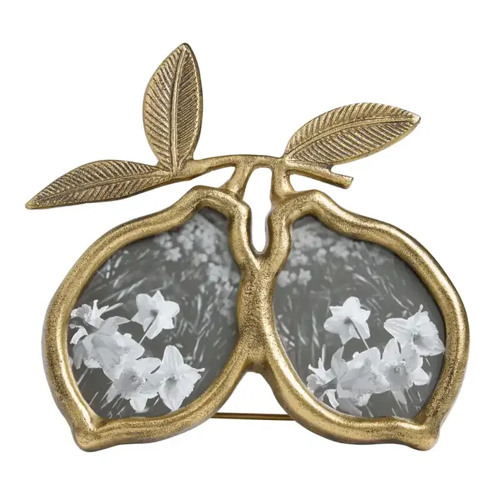 Antique Brass Lemons Double Picture Frame