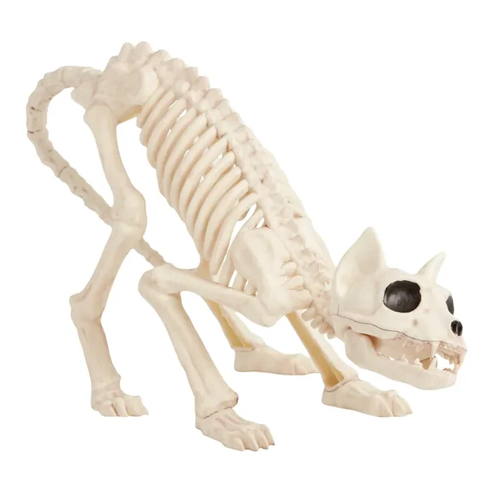 Antique Ivory Cat Skeleton Halloween Decor