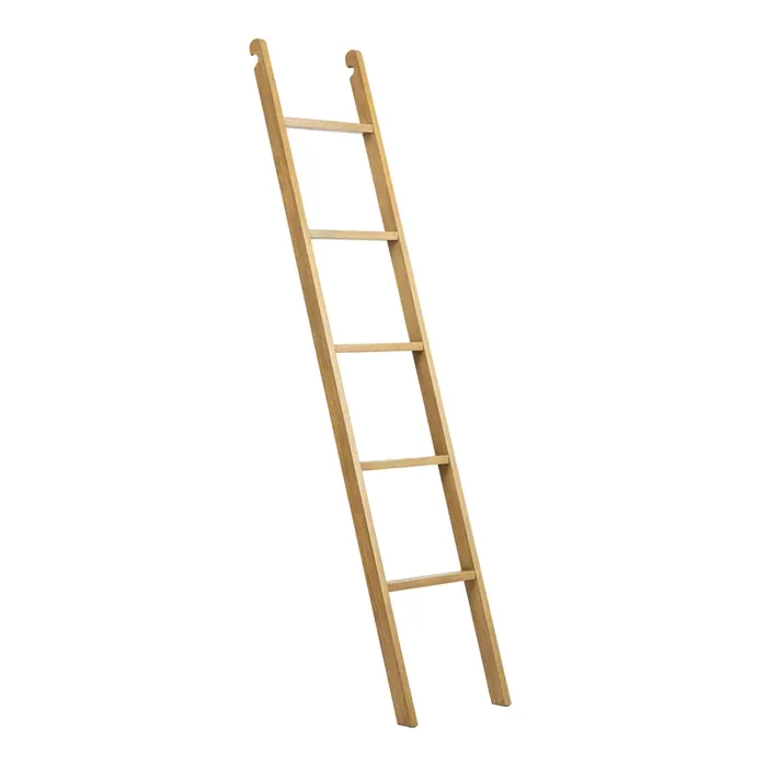 Augustus Wood Bookshelf Ladder