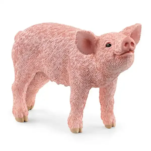 BABY PIG