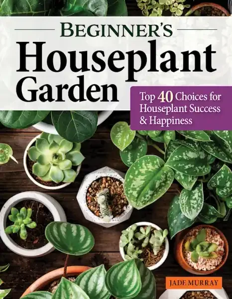 BEGINNER‘S HOUSEPLANT GARDEN