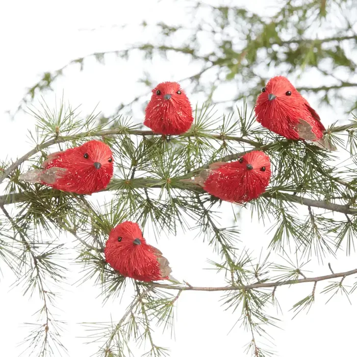 Bird Clip Ornaments 5 Pack