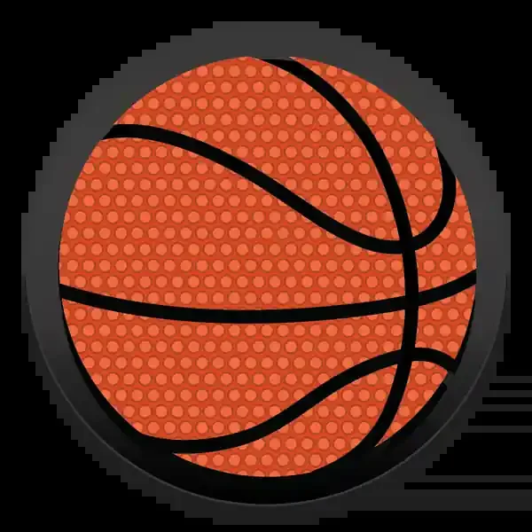 BOGG BITS 2.0 BASKETBALL