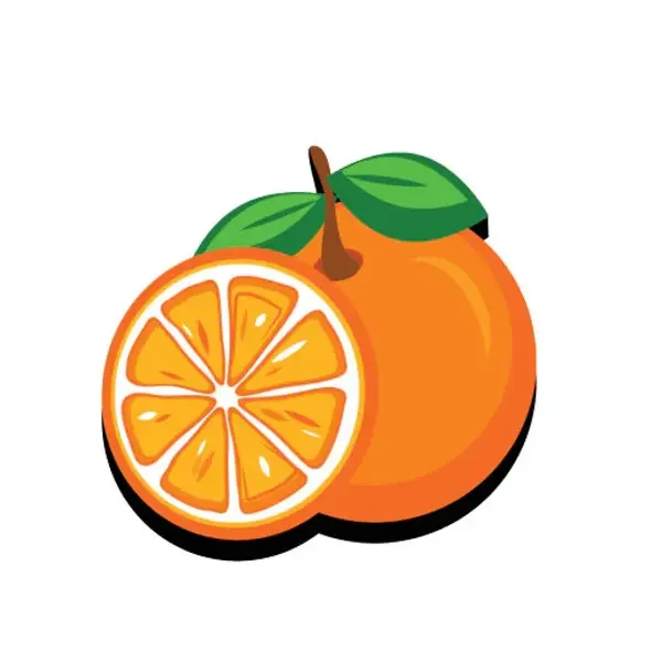 BOGG BITS 2.0 FRESHLY SQUEEZED