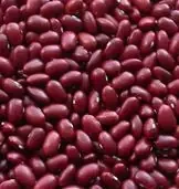 Cefalu Beans – Italian Red Kidney
