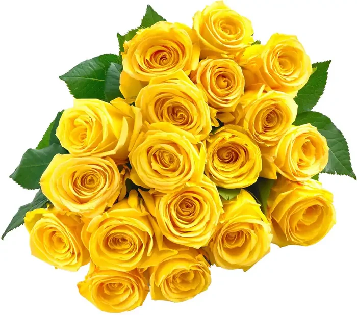 Central Market Rose Bunch