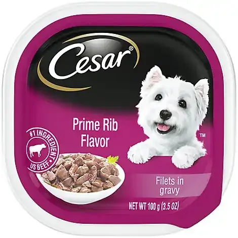 Cesar Filets In Gravy Dog Food Wet Prime Rib Flavor