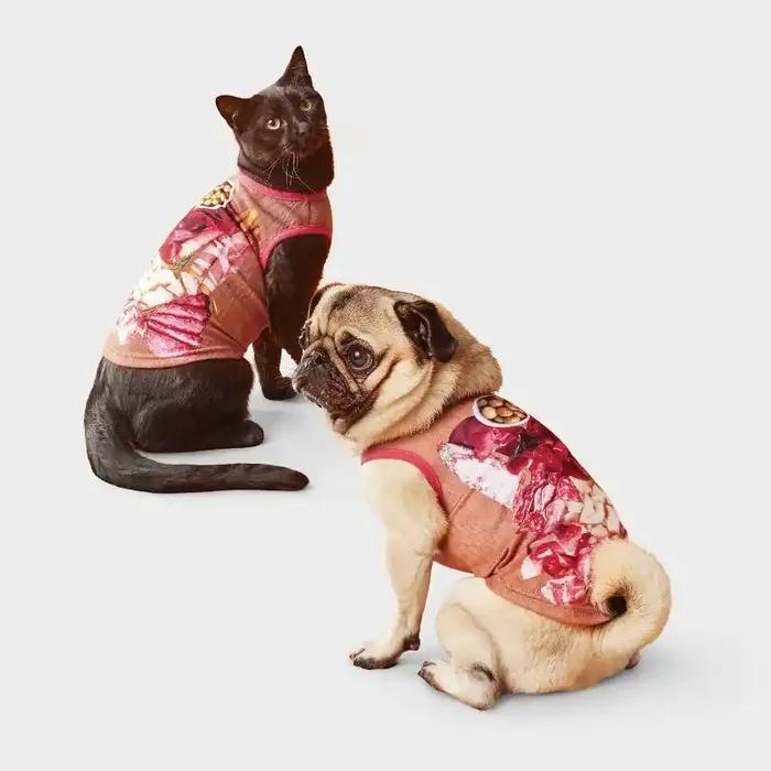 Charcuterie Dog and Cat T-Shirt – Boots & Barkley™ S