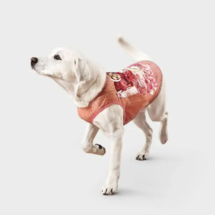 Charcuterie Dog T-Shirt – Boots & Barkley™ M