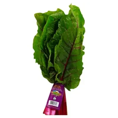 Chard Swiss Rainbow Organic