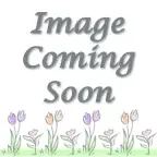 Charlie‘s Produce 6 In Mum