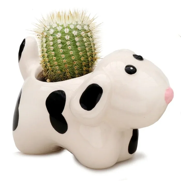 Charlie‘s Produce Cactus Kitten And Puppy Ceramic – 2 In