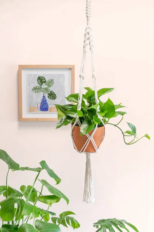 Charlie‘s Produce Modest Macrame – 51 Oz