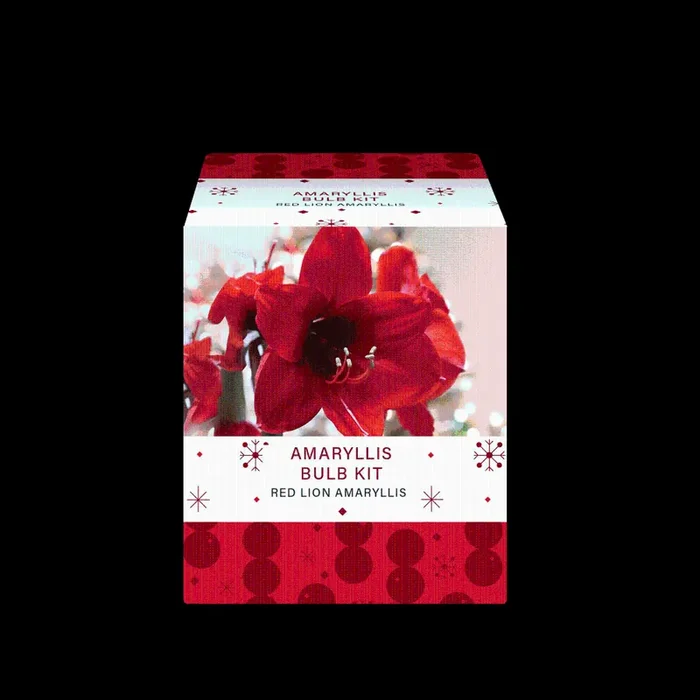 Charlie‘s Produce Red Lion Amaryllis Bulb Kit