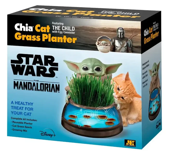 Chia Pet Chia The Child Cat Grass