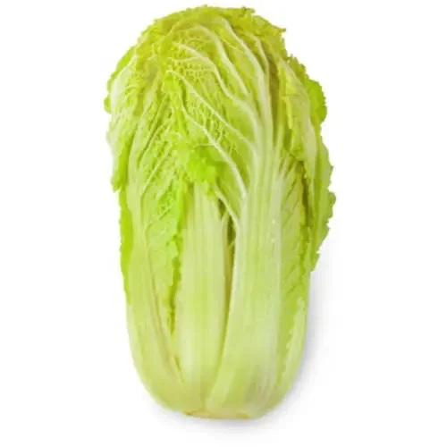 Chinese Napa Cabbage