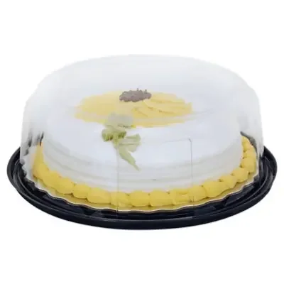 Choc Cake White Iced Holiday 1Lyr