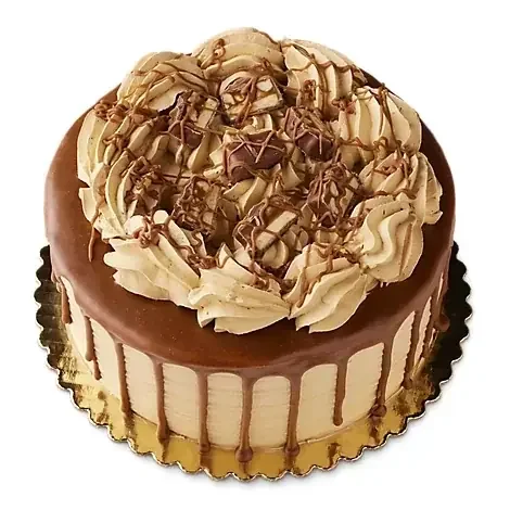 Chocolate Snickers With Whipped Icing Cake 2 Layer – Each