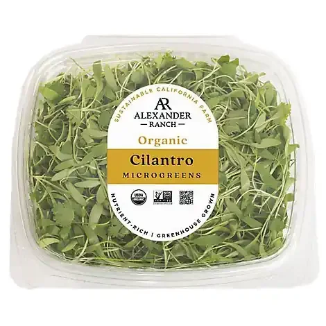Cilantro Microgreens Organic – 1.75 OZ