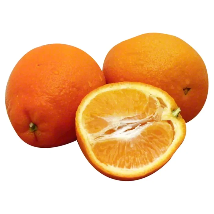 Citrus Tangelo Minneola