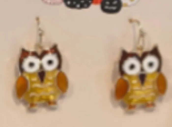 City By City Cbc Ear Enamel Owl Fh Drops 113981 Brn