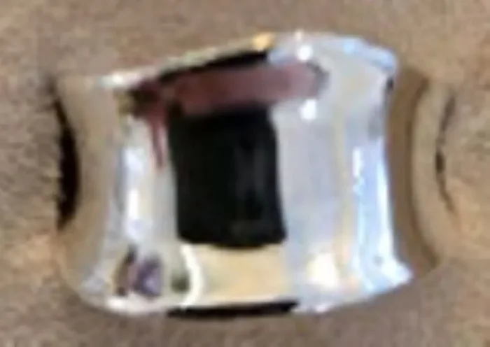 City By City Cbc Rng No Stn Plsh Wd Bnd 113858-10 Slv