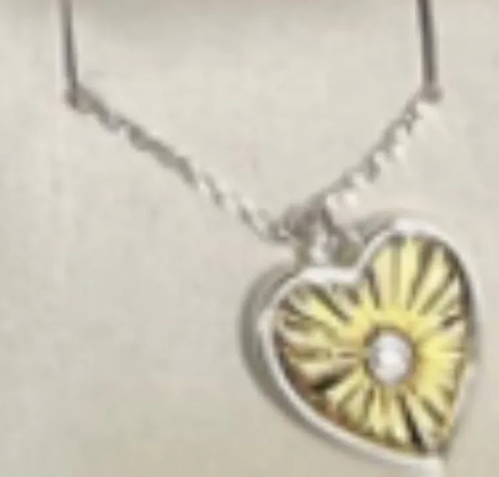 City by City Gold and Silver Plated Heart Pendant Necklace With Cubic Zirconia