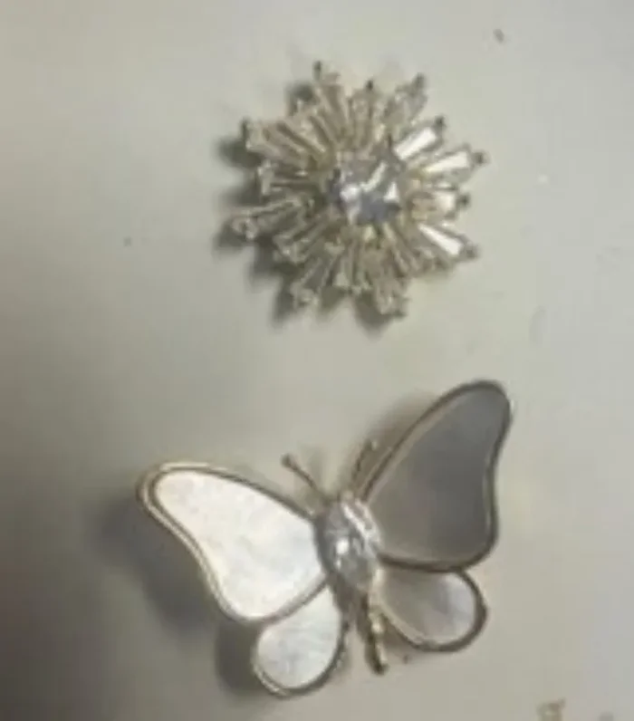 City by City Silver Plated Cubic Zirconia Flower and Mother of Pearl Butterfly Pin Set