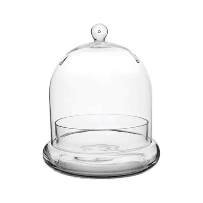 Cloche Terrarium, Glass, 7″ x 8 1/4″