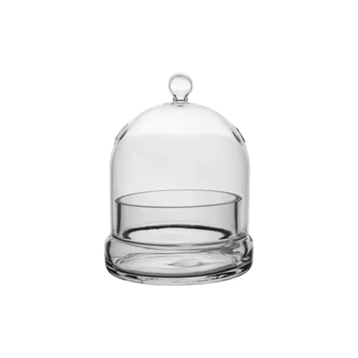 Cloche Terrarium, Glass, Small