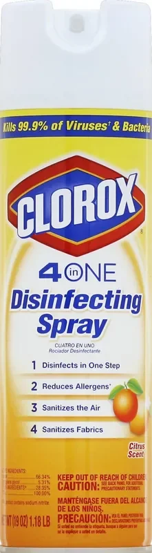 Clorox Disinfecting Spray 19 oz