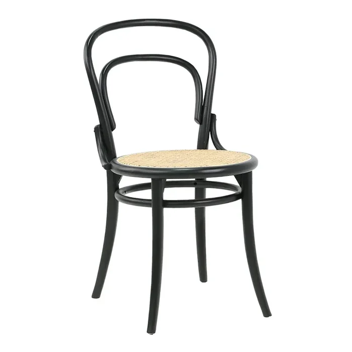 Coasta Elm Wood and Rattan Cane Dining Chair 2 Piece Set