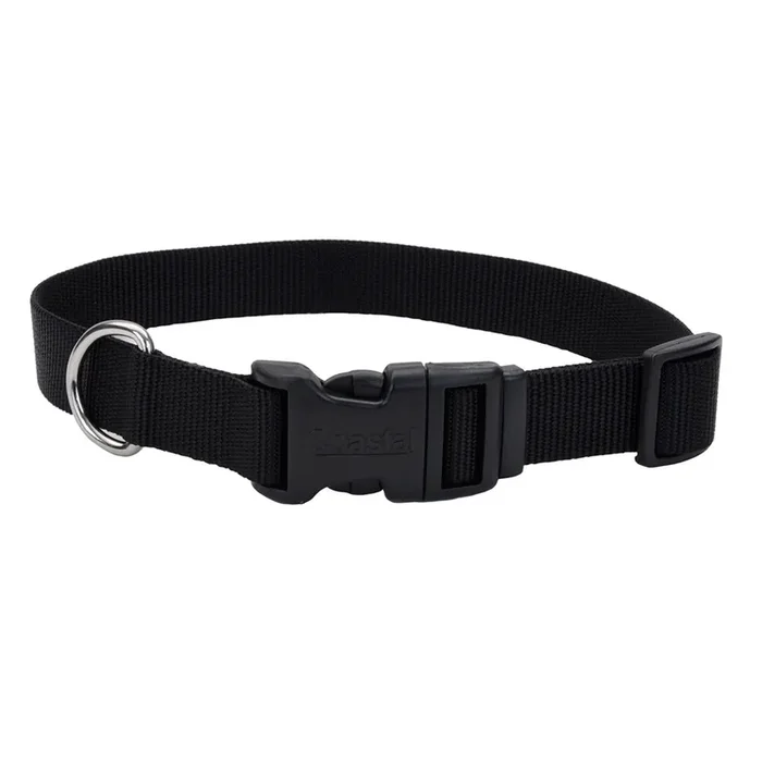 Coastal Adjustable Dog Collar with Plastic Buckle, Black, Medium – 1″ x 14″-20″