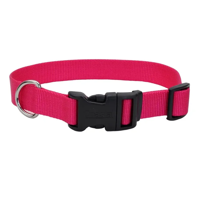 Coastal Adjustable Dog Collar with Plastic Buckle, Pink Flamingo, Large – 1 ” x 18 “-26 “
