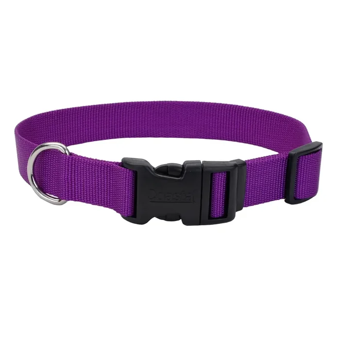 Coastal Adjustable Dog Collar with Plastic Buckle, Purple, Large – 1″ x 18″-26″