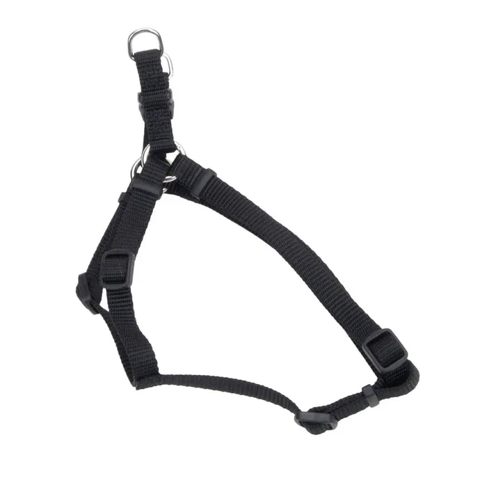 Coastal Comfort Wrap Adjustable Dog Harness, Black, Medium – 3/4″ x 20″-30″
