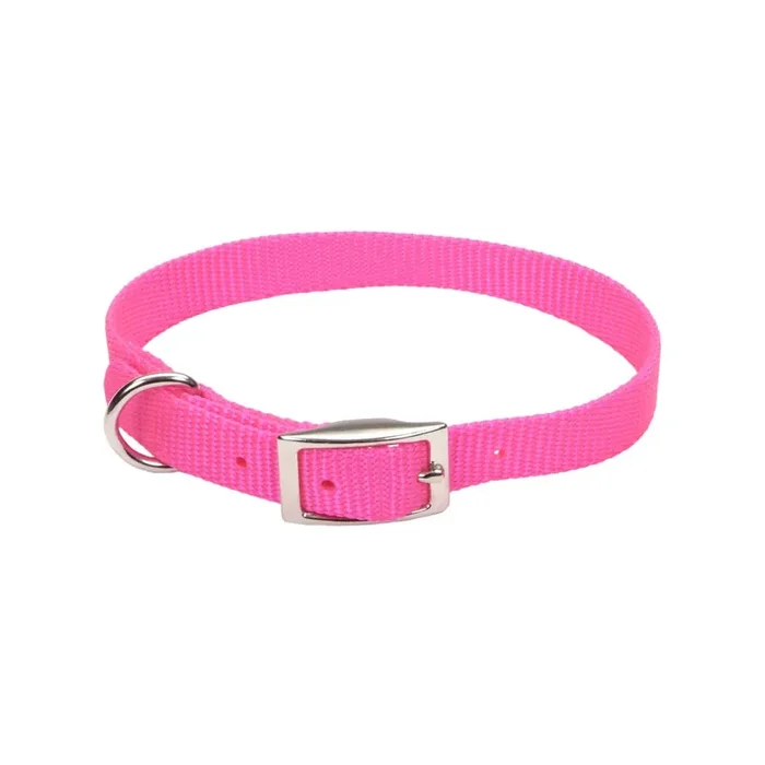 Coastal Single-Ply Dog Collar, Neon Pink, Small – 5/8″ x 12″