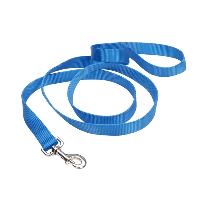 Coastal Single-Ply Dog Leash, Blue Lagoon, Large – 1″ x 6‘