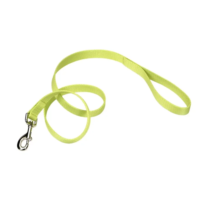 Coastal Single-Ply Dog Leash, Lime, Small – 5/8″ x 4‘