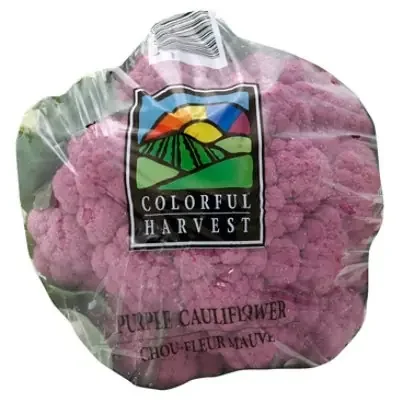 Colorful Harvest Cauliflower Purple