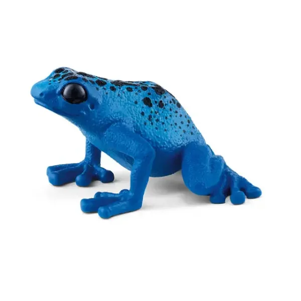 DART FROG BLUE