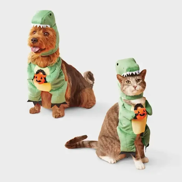 Dino with Pumpkin T-Rex Pail Dog and Cat Frontal Costume – Boots & Barkley™ Light Green S