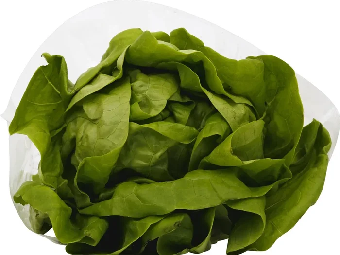 District Farms Local Butter Lettuce