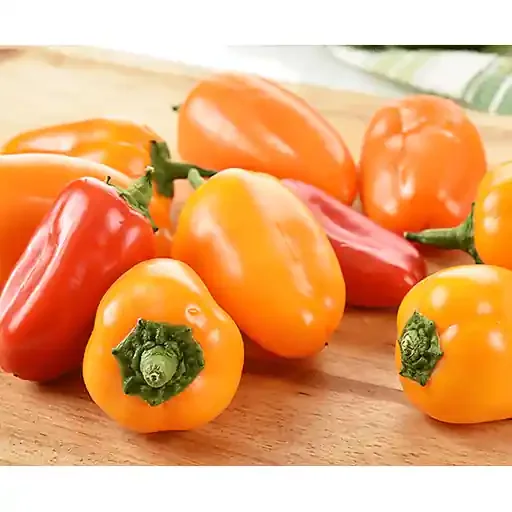 Divine Flavor Organic Sweet Pepper