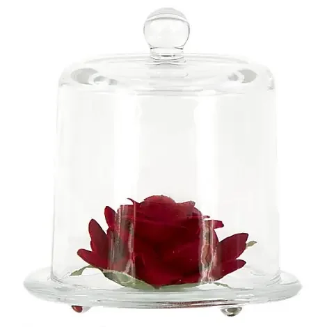 Dl Our Lady Prayer Cloche – EA