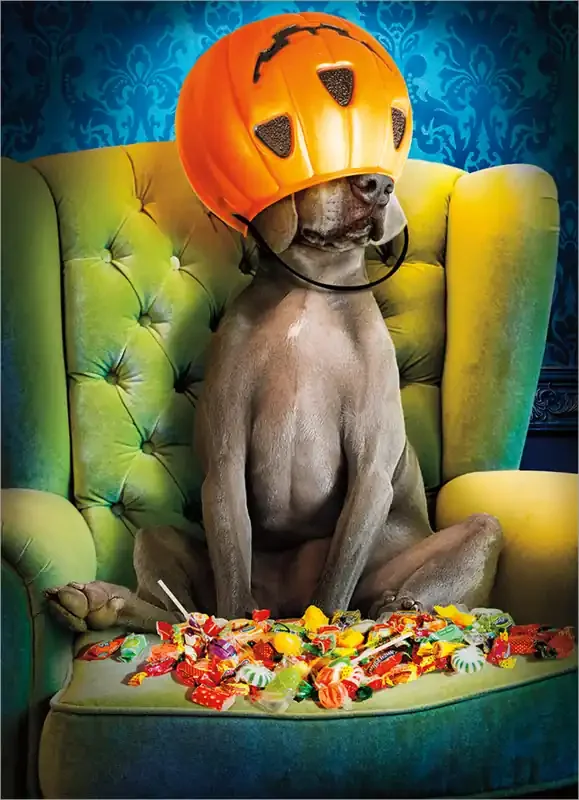 Dog Pumpkin Bucket
