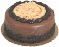 Double Layer German Chocolate Cake