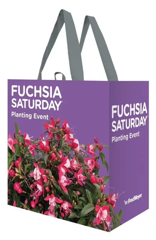 Earthwise Fuchsia Saturday